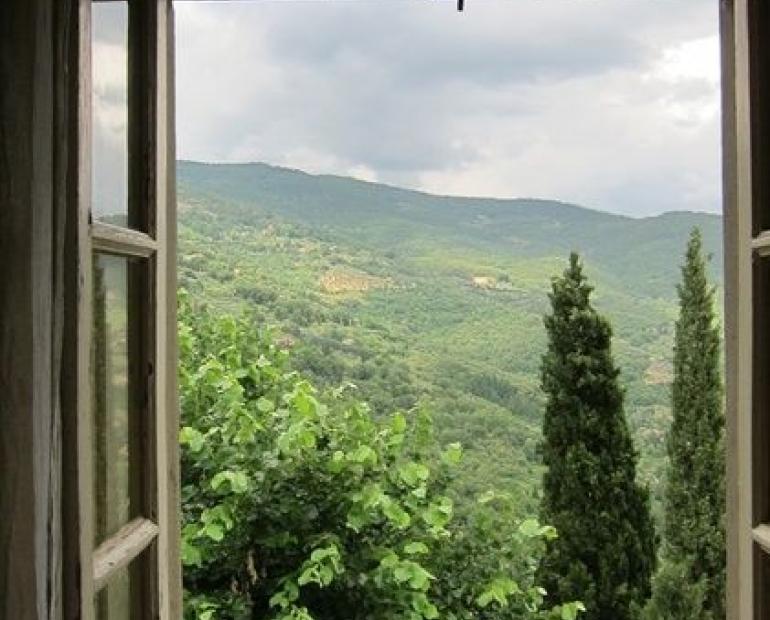 View from window