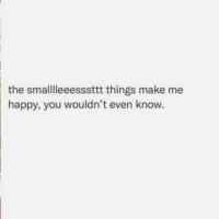 the smalleesssttt things make me happy you wouldn't even know